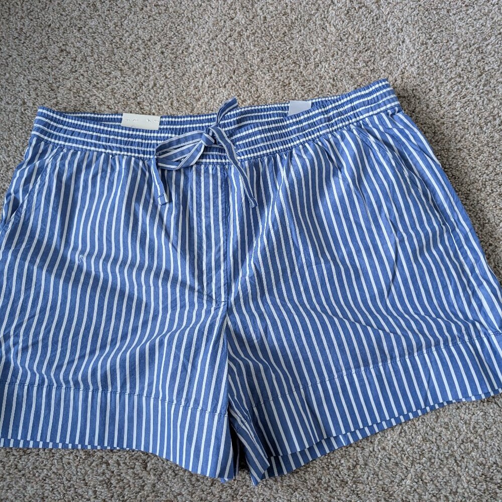 Banana Republic Blue and White Striped Cotton Shorts